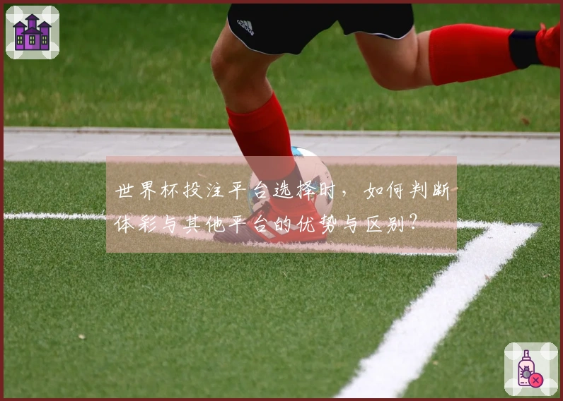 世界杯投注平台选择时，如何判断体彩与其他平台的优势与区别？