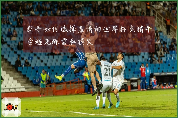 新手如何选择靠谱的世界杯竞猜平台避免踩雷和损失