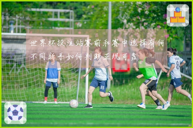 世界杯投注站赛前和赛中选择有何不同新手如何判断正规可靠