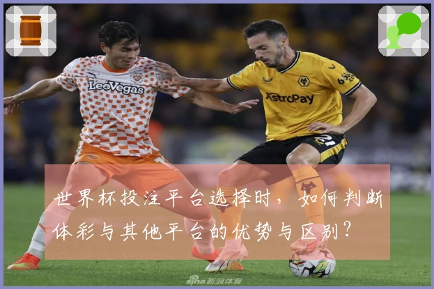 世界杯投注平台选择时，如何判断体彩与其他平台的优势与区别？