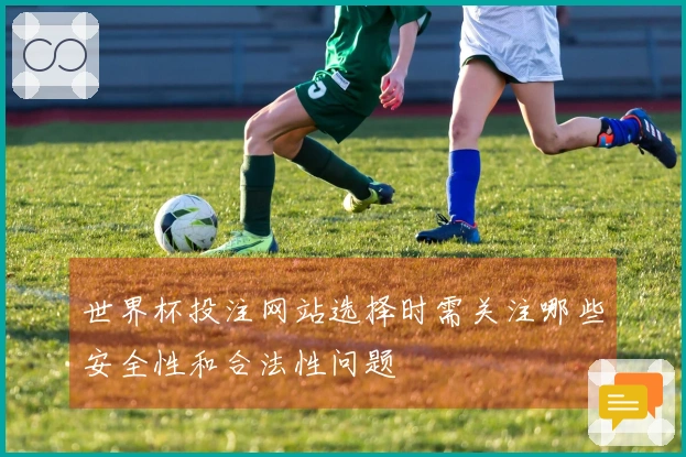 世界杯投注网站选择时需关注哪些安全性和合法性问题